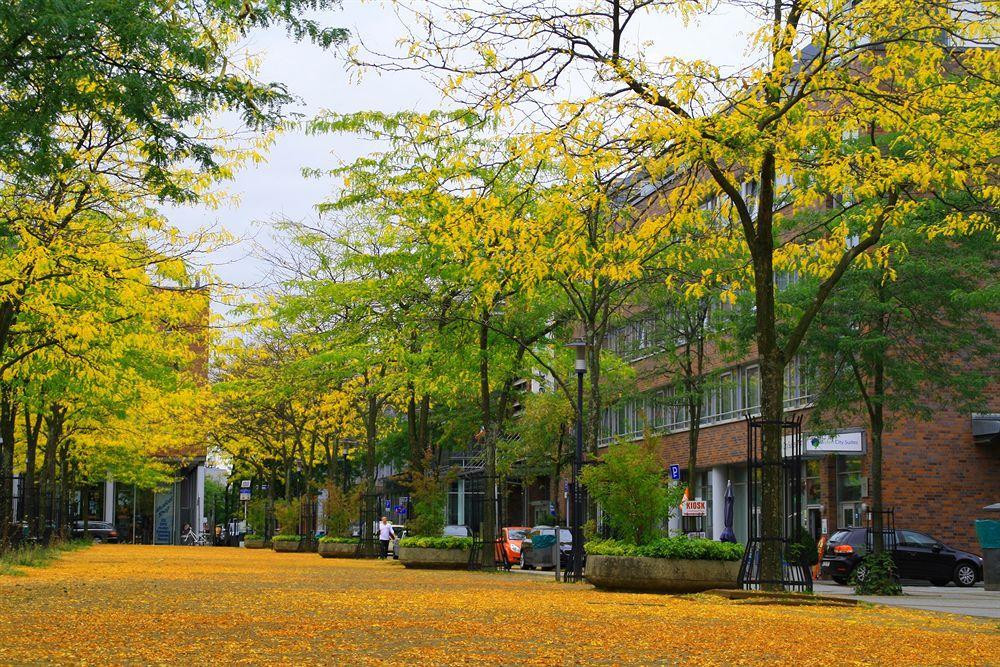 Essen City Suites Экстерьер фото